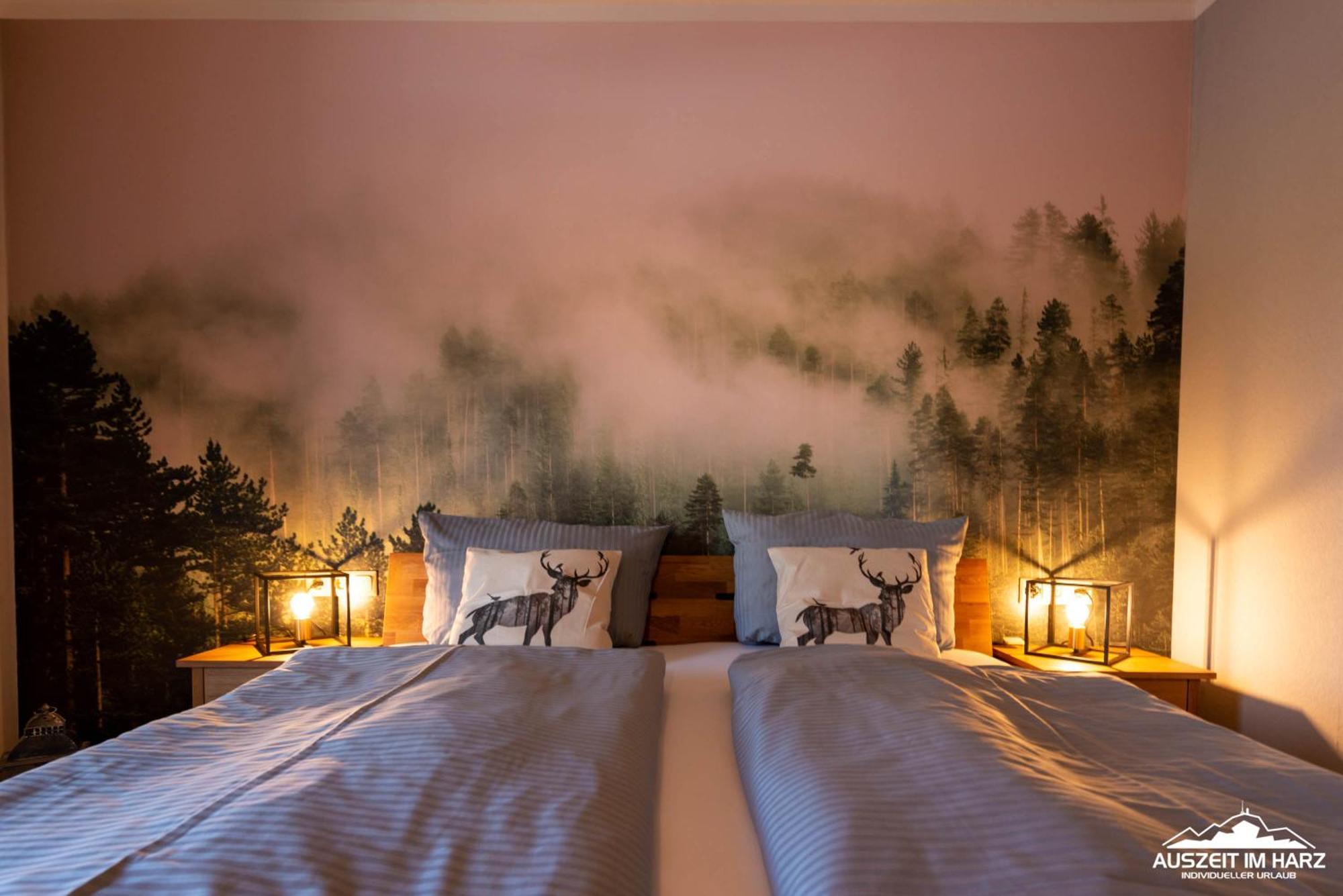 Auszeit-Im-Harz Haus 5 Wohnung 22 Stiege エクステリア 写真